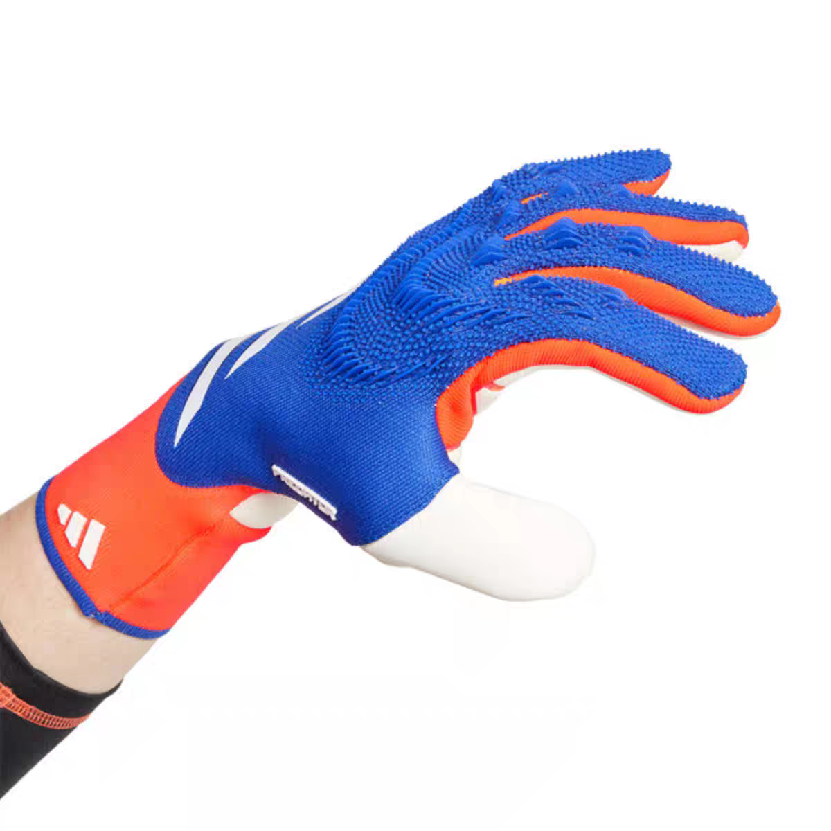 微信图片_20251223130834_185_10